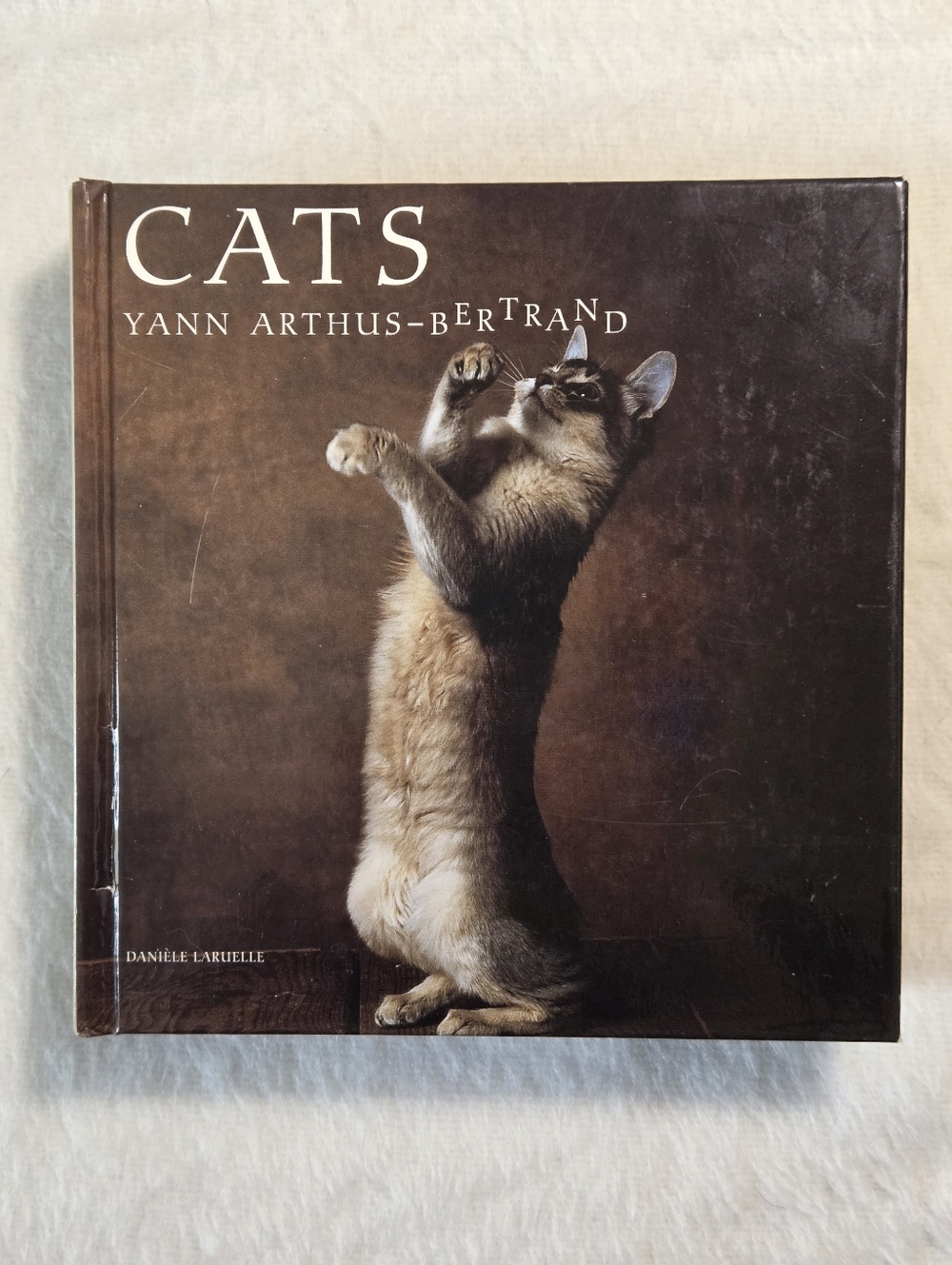 Cats by Yann Arthus-Bertrand and Danielle Laruelle